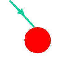 tomateverte4.jpg